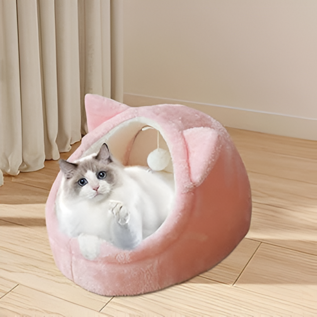 Creating the Perfect Cozy Space for Your Pets